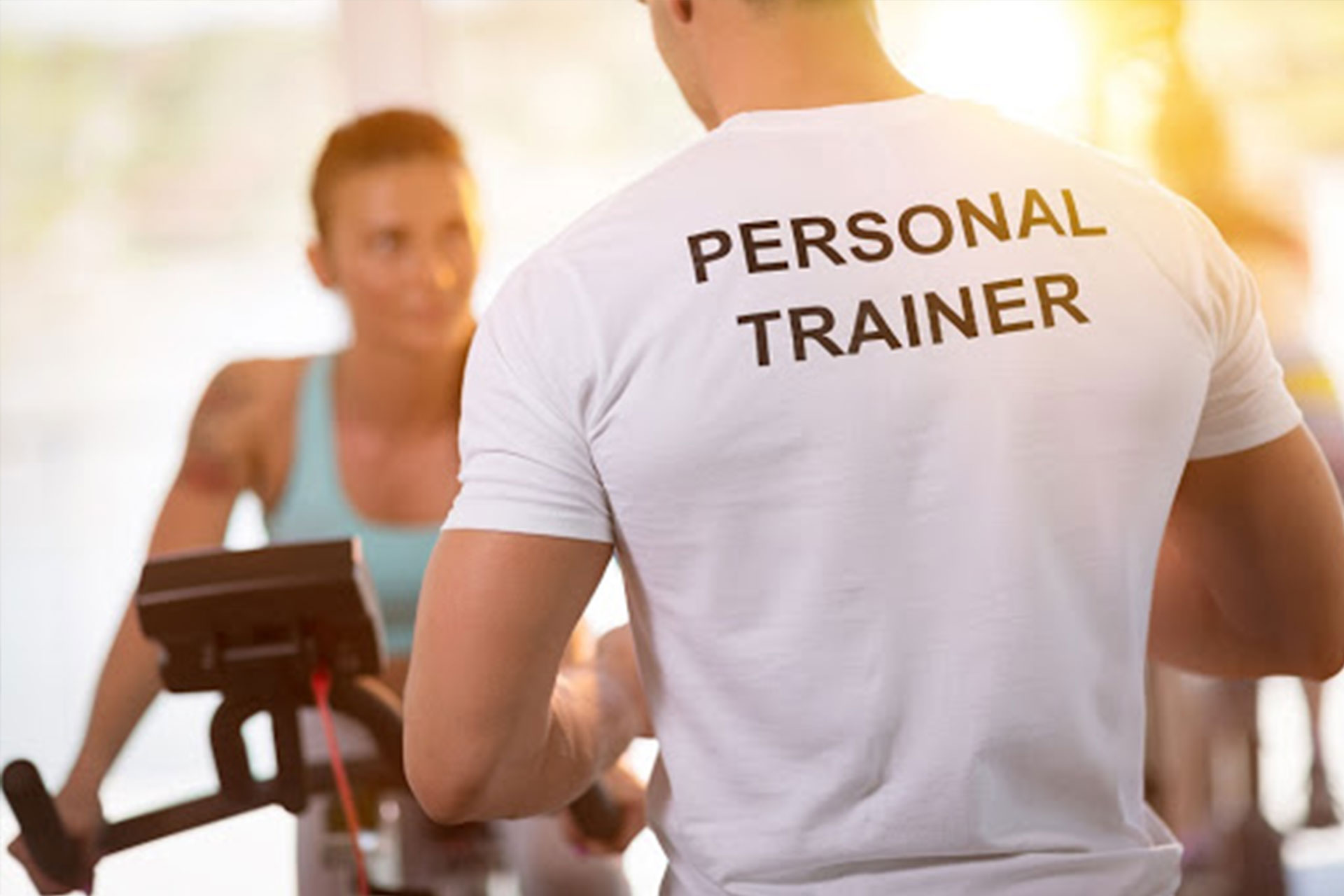 trainer-main